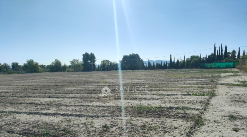 Alicante - Aspe - 14528m2