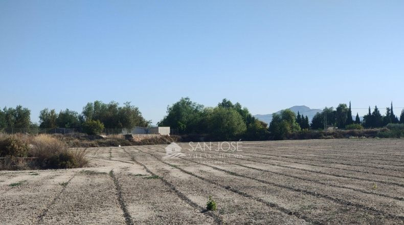 Alicante - Aspe - 14528m2