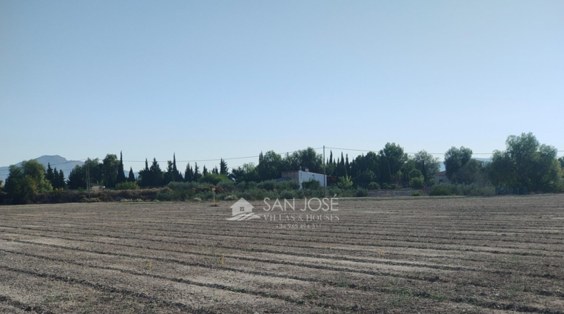 Alicante - Aspe - 14528m2