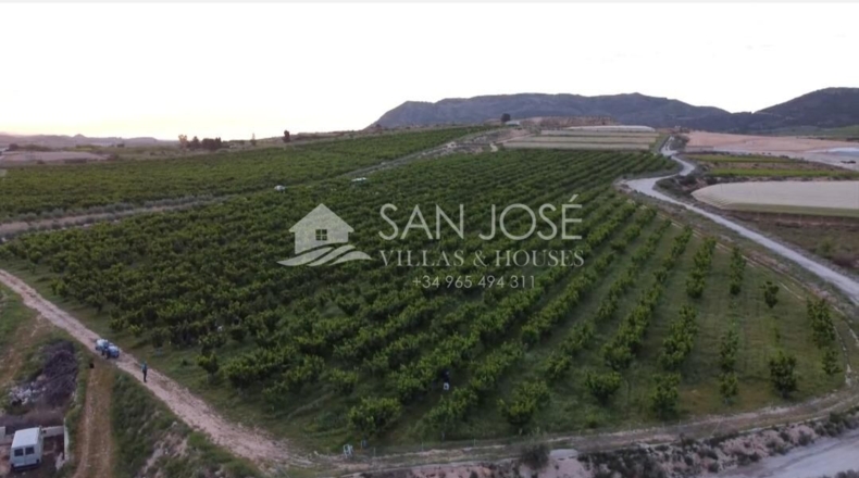 Alicante - Monforte del Cid - 88577m2