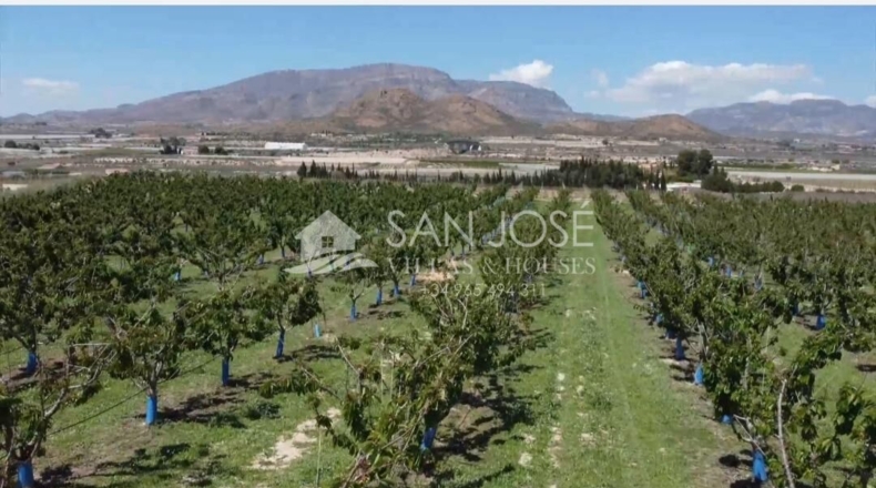 Alicante - Monforte del Cid - 88577m2