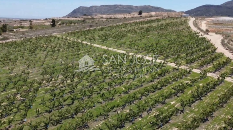 Alicante - Monforte del Cid - 88577m2