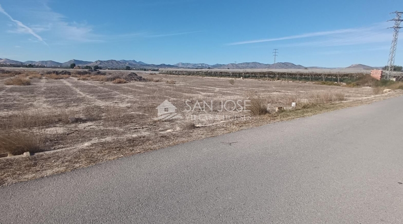 Alicante - Monforte del Cid - 8930m2