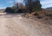 Terreny no urbanitzable en venda a la España, Montfort, ref.: TR99242 foto