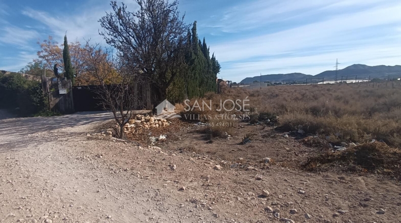 Alicante - Monforte del Cid - 10576m2