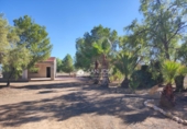 Chalet independiente con terreno en venta en la España, Aspe, ref: TR99055 foto