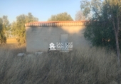Chalet independiente con terreno en venta en la España, Aspe, ref: TR99055 foto
