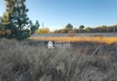 Chalet independiente con terreno en venta en la España, Aspe, ref: TR99055 foto