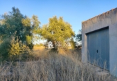 Chalet independiente con terreno en venta en la España, Aspe, ref: TR99055 foto