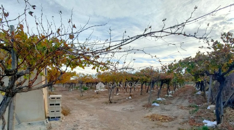 Alicante - La Columna - 11466m2