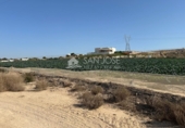 Parcel·la urbanitzable en venda a la España, Elx, ref.: TR102707 foto