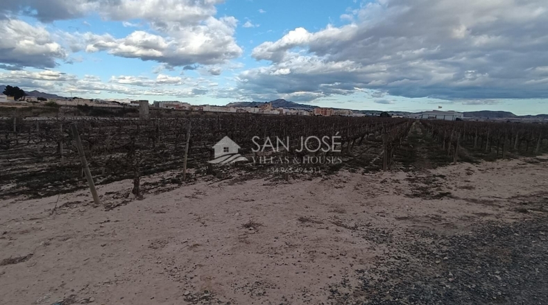 Alicante - Monforte del Cid - 13467m2