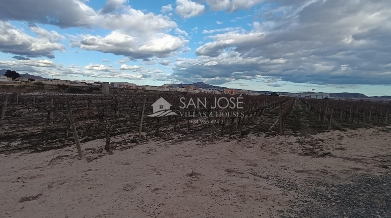Alicante - Monforte del Cid - 13467m2