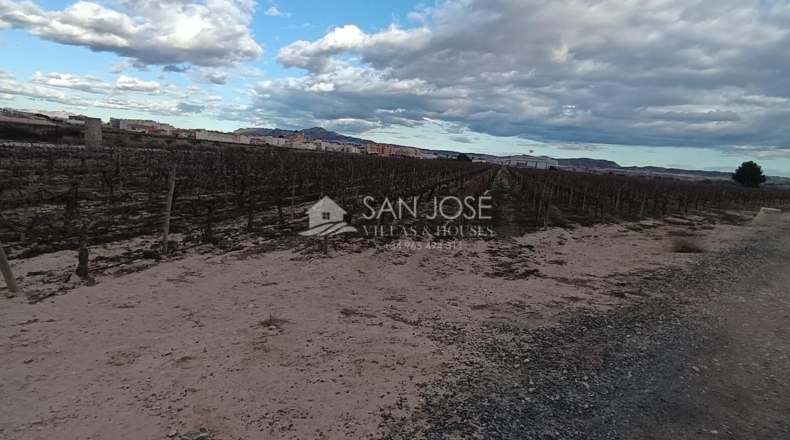 Alicante - Monforte del Cid - 13467m2