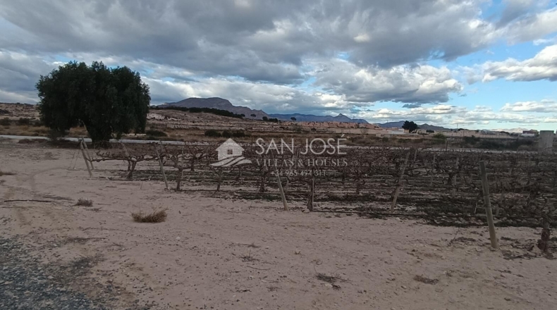 Alicante - Monforte del Cid - 13467m2
