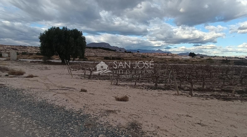 Alicante - Monforte del Cid - 13467m2