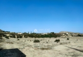 Casa de campo con terreno en venta en la España, Aspe, ref: TR106463 foto