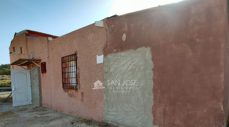 Alicante - Crevillente - 11928m2