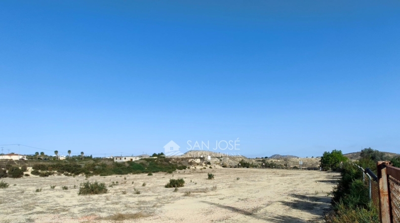 Alicante - Crevillente - 11928m2