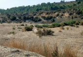 Casa de campo con terreno en venta en la España, Aspe, ref: TR106463 foto