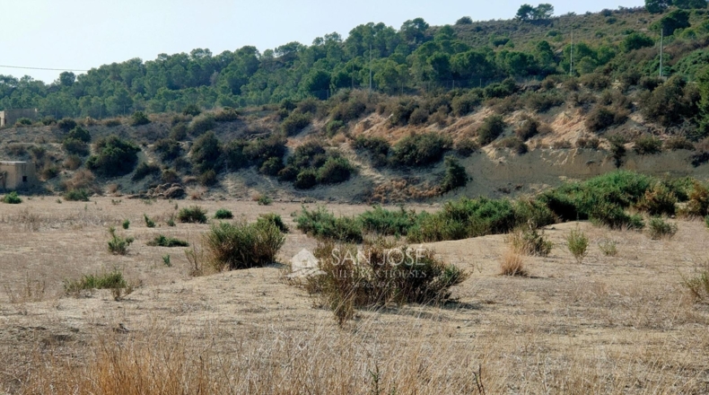 Alicante - Crevillente - 11928m2