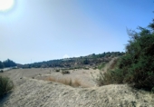 Casa de campo con terreno en venta en la España, Aspe, ref: TR106463 foto