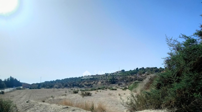 Alicante - Crevillente - 11928m2