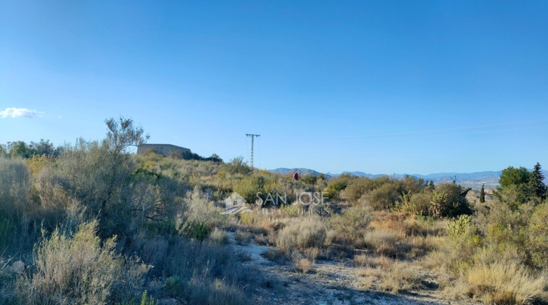 Alicante - Crevillente - 12600m2
