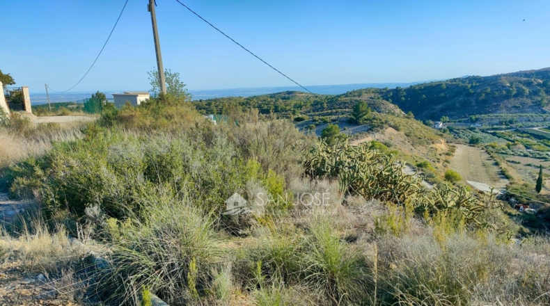 Alicante - Crevillente - 12600m2