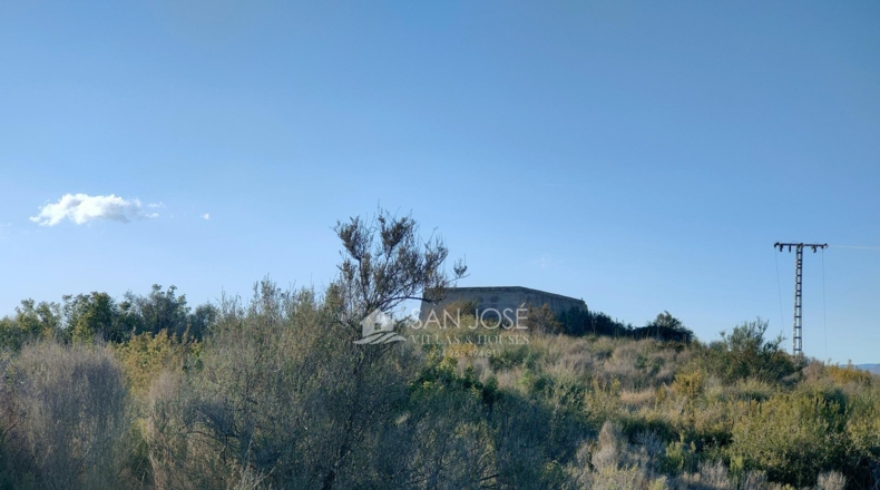 Alicante - Crevillente - 12600m2