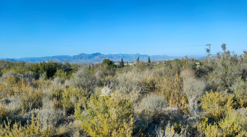 Alicante - Crevillente - 12600m2