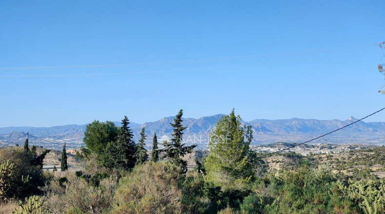 Alicante - Crevillente - 12600m2