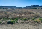 Terreny no urbanitzable en venda a la España, el Fondó dels Frares, ref.: TR106554 foto