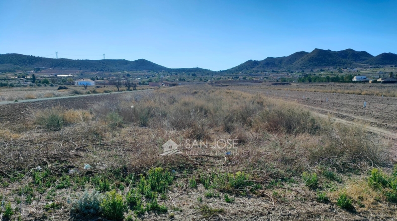 Alicante - Hondón de los Frailes - 9183m2