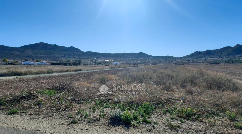 Alicante - Hondón de los Frailes - 9183m2