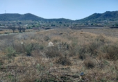 Terreny no urbanitzable en venda a la España, el Fondó dels Frares, ref.: TR106554 foto