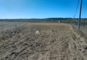 Non-developable land for sale on España, Orihuela, ref: TR106553 photo