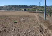 Non-developable land for sale on España, Orihuela, ref: TR106553 photo