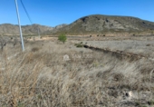 Non-developable land for sale on España, Orihuela, ref: TR106553 photo