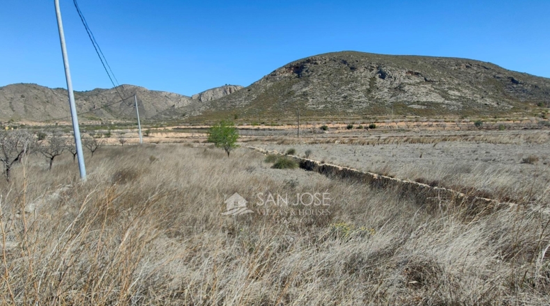 Murcia - Abanilla - 17664m2