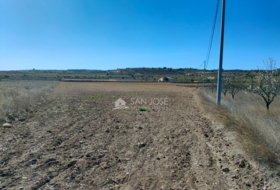 Oriola 17664&nbsp;m² 