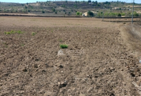 Oriola 17664&nbsp;m² 