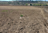 Non-developable land for sale on España, Orihuela, ref: TR106553 photo