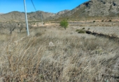 Non-developable land for sale on España, Orihuela, ref: TR106553 photo