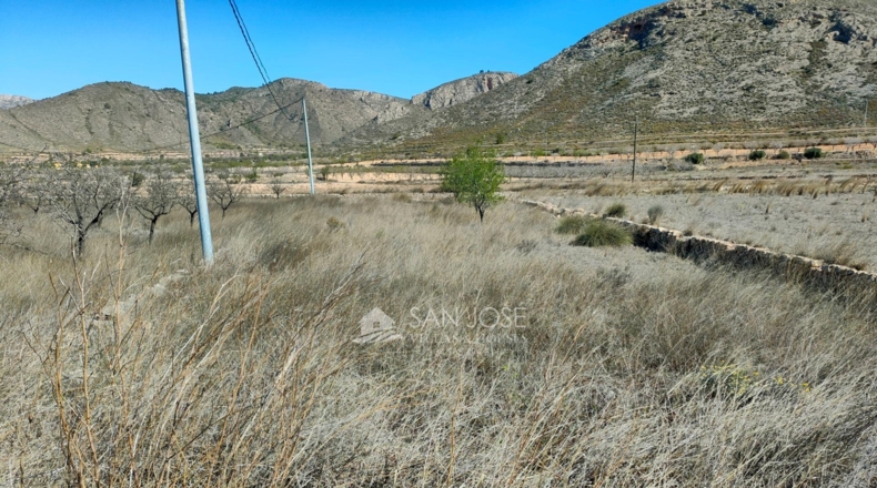 Murcia - Abanilla - 17664m2