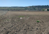 Non-developable land for sale on España, Orihuela, ref: TR106553 photo