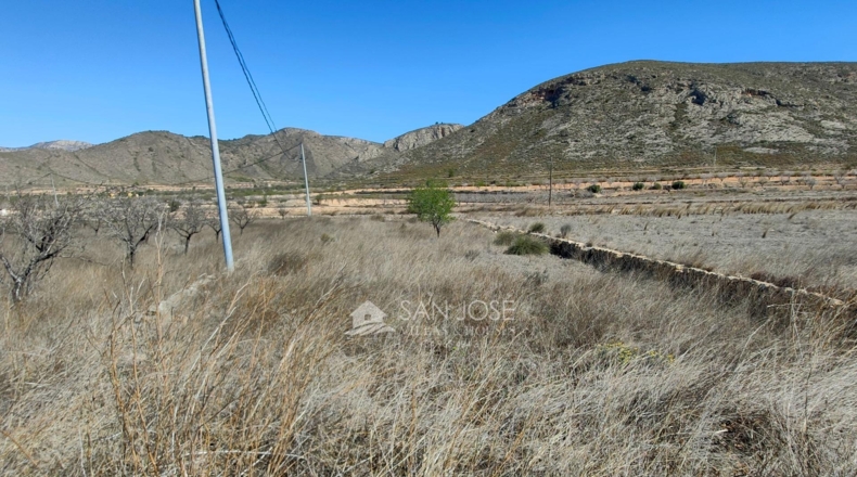 Murcia - Abanilla - 17664m2