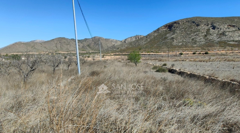 Murcia - Abanilla - 17664m2