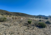 Terreny no urbanitzable en venda a la España, el Fondó dels Frares, ref.: TR106552 foto