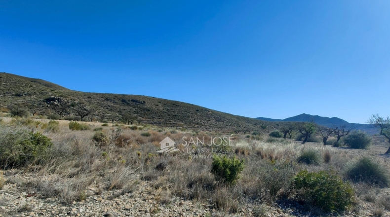 Alicante - Hondón de los Frailes - 11200m2